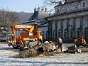 2012-02-06, Kastanie (2)